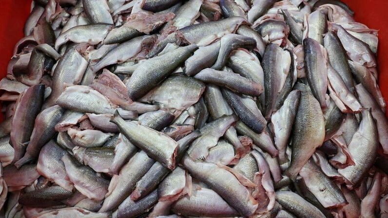    Фото: Андрей Ткачев / «Ямал-Медиа»