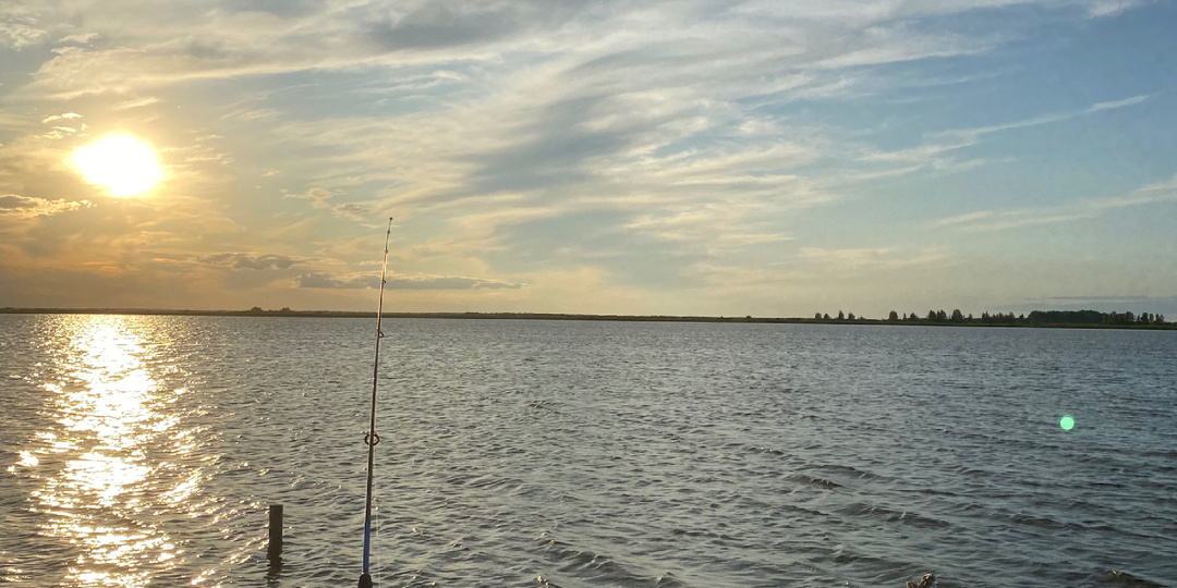 Тишина и поплавок: почему рыбалка на озере — это магия, которую нужно попробовать каждому