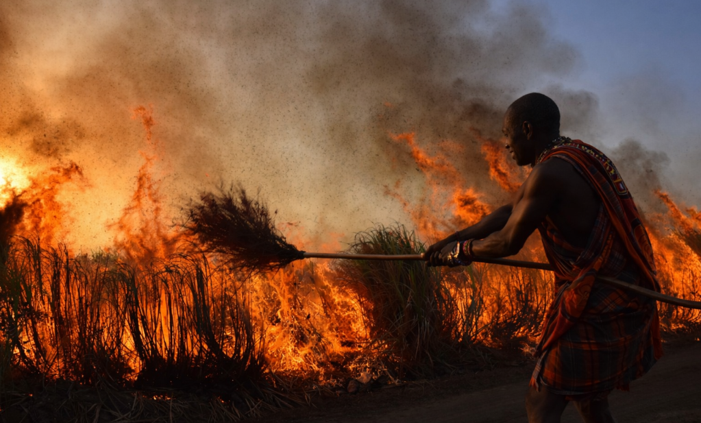 Пусть горит