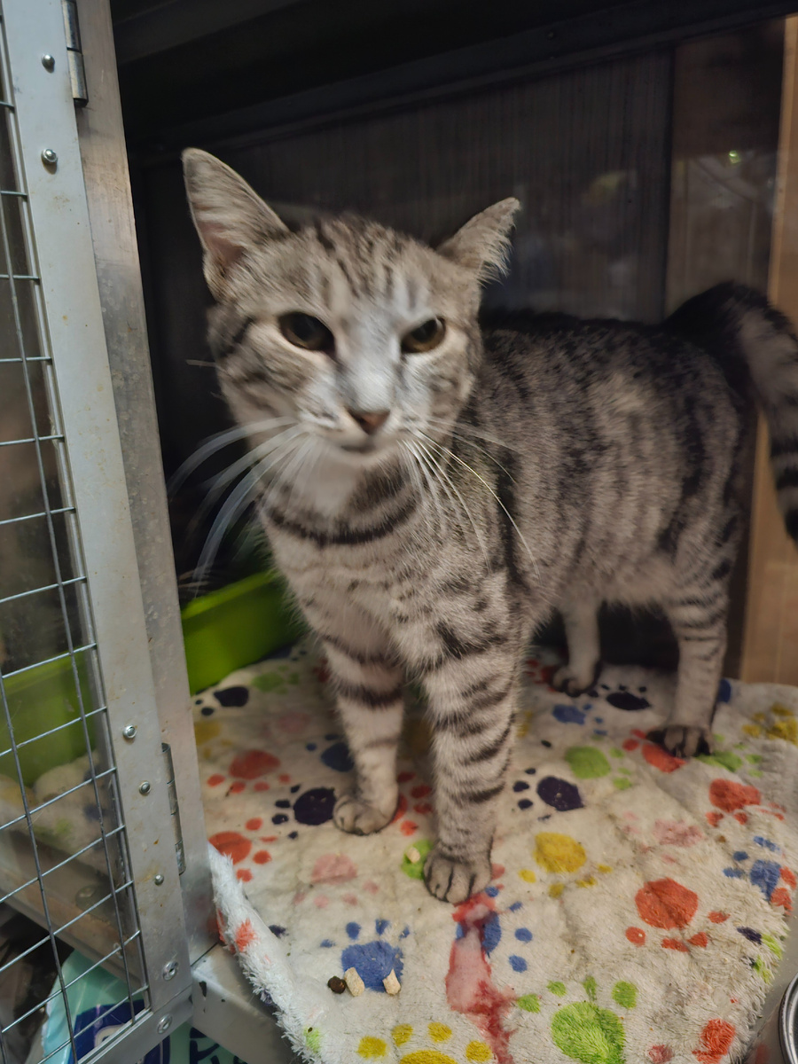 Фото автора. Марьяне плохо