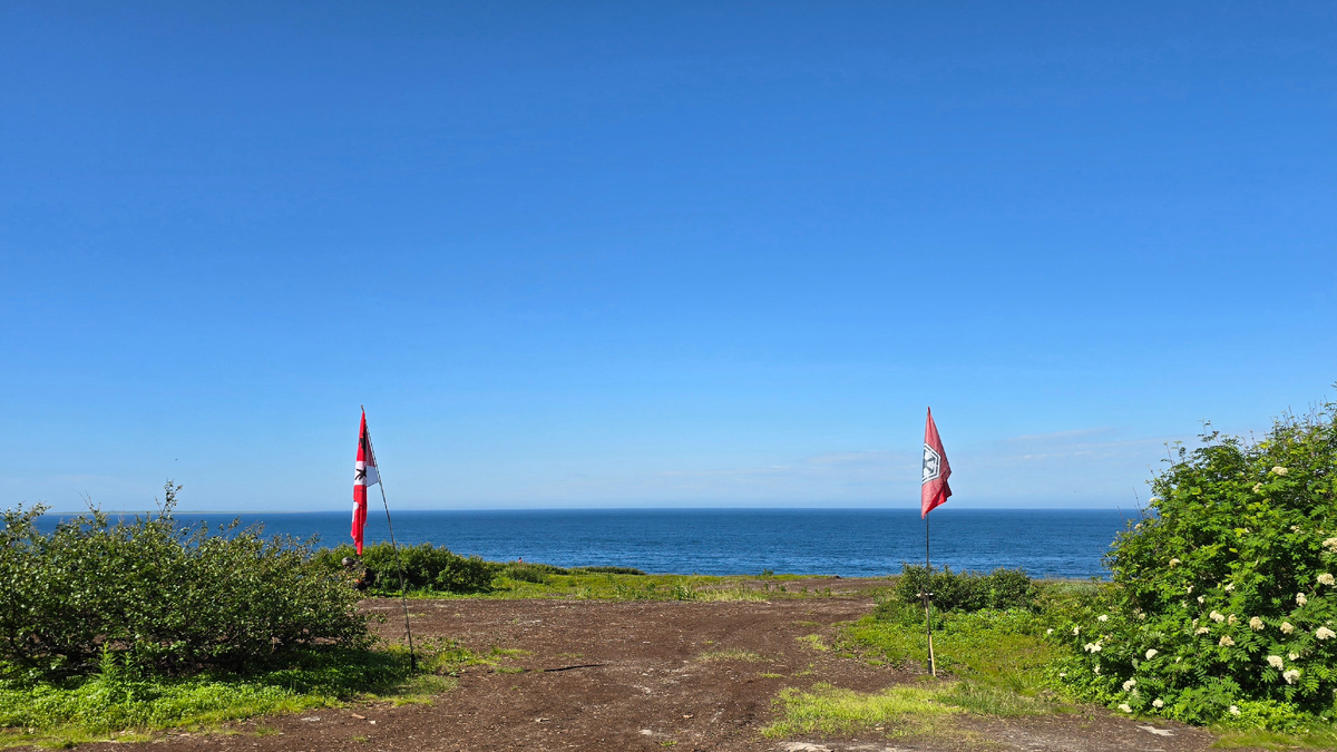 Все яркое и сочное