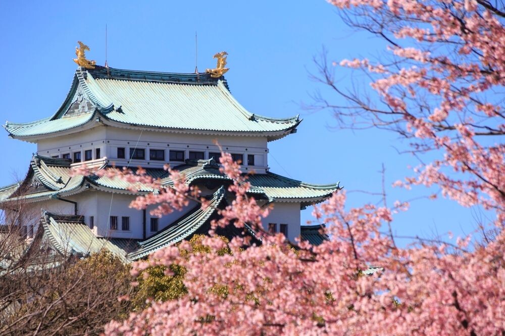 Нагойский замок в перфектуре Айти
