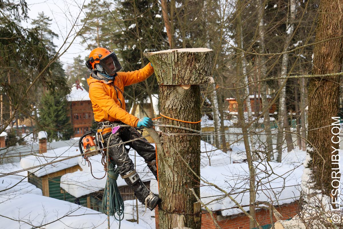 Мкр. Мамонтовка г. Пушкино Московской области. 15 февраля 2026 г. Фотография: Михаил Романов