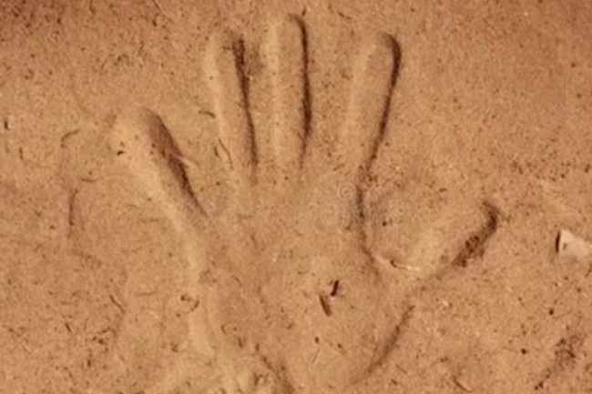 Фото взято из интернета