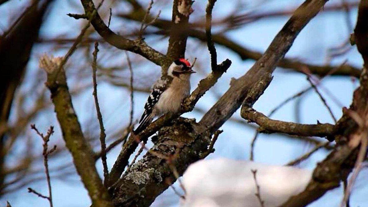    Фото: Людмила Горбунова
