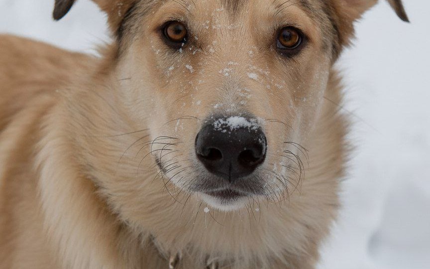 Он сидел у метро и тоскливо вглядывался в лица прохожих