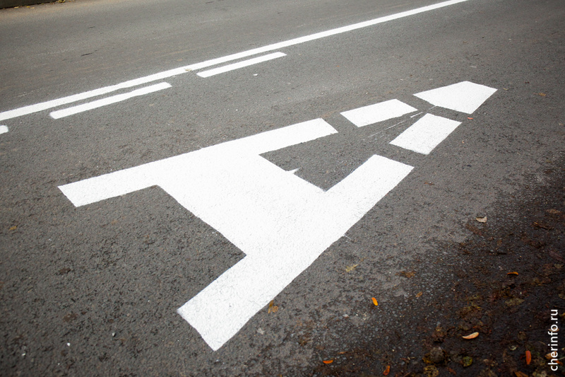    Об этом cherinfo рассказал начальник департамента ЖКХ Дмитрий Душенькин.