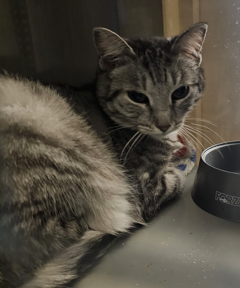 Фото автора. Марьяна оооооочень хочет жить.