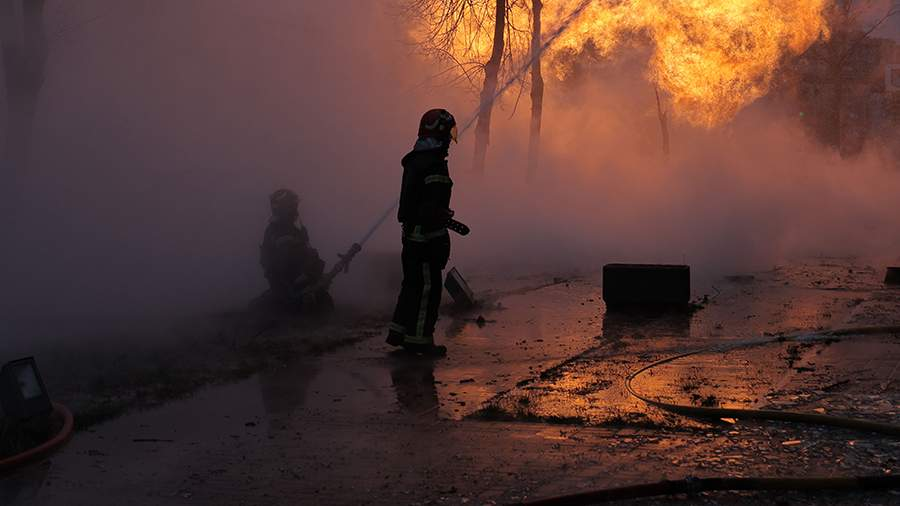 Фото: Global Look Press/Evgen Kotenko