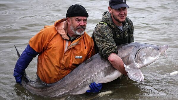    © РИА Новости . Виталий Тимкив