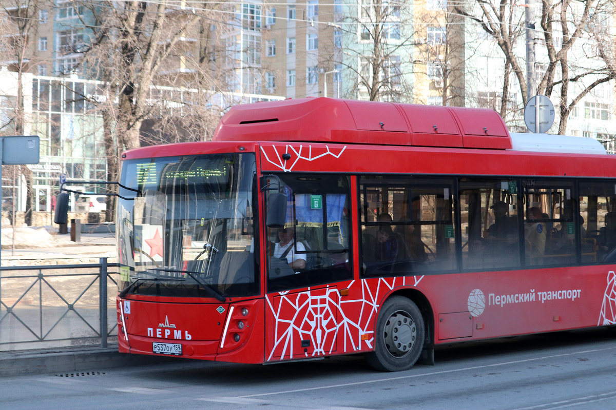 Перевозчики выплатили 57,3 млн рублей штрафов в бюджет Перми за нарушения.  Фото: Иван Новгородский