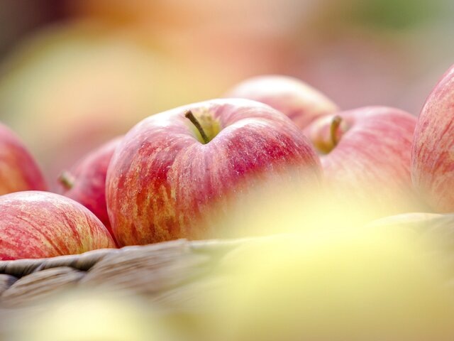    Фото: Москва 24/Лидия Широнина