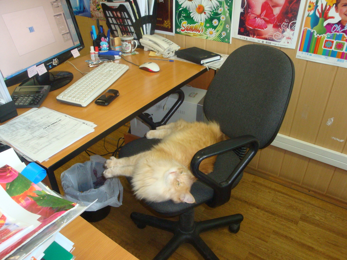 Фотография из архива 2011 год