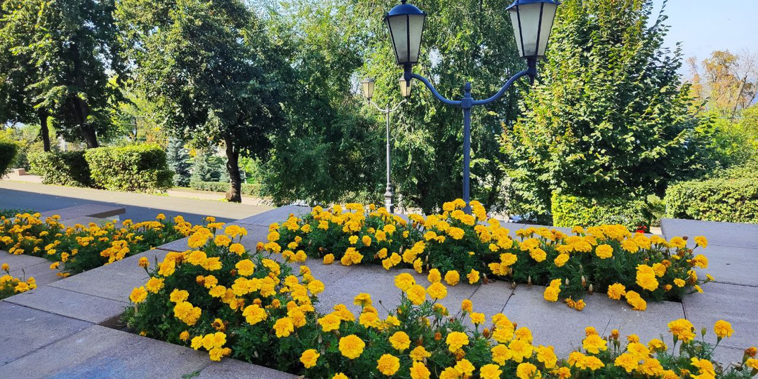 Тайна любовницы. Глава 20.