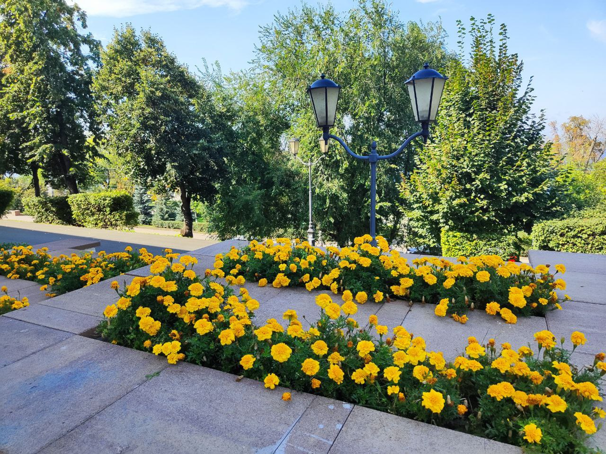 Фото автора.