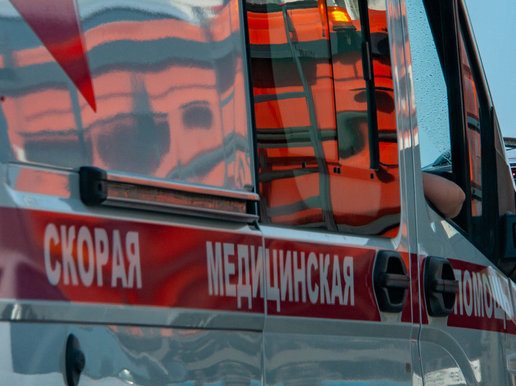     Фото: Svetlana Vozmilova/Global Look Press