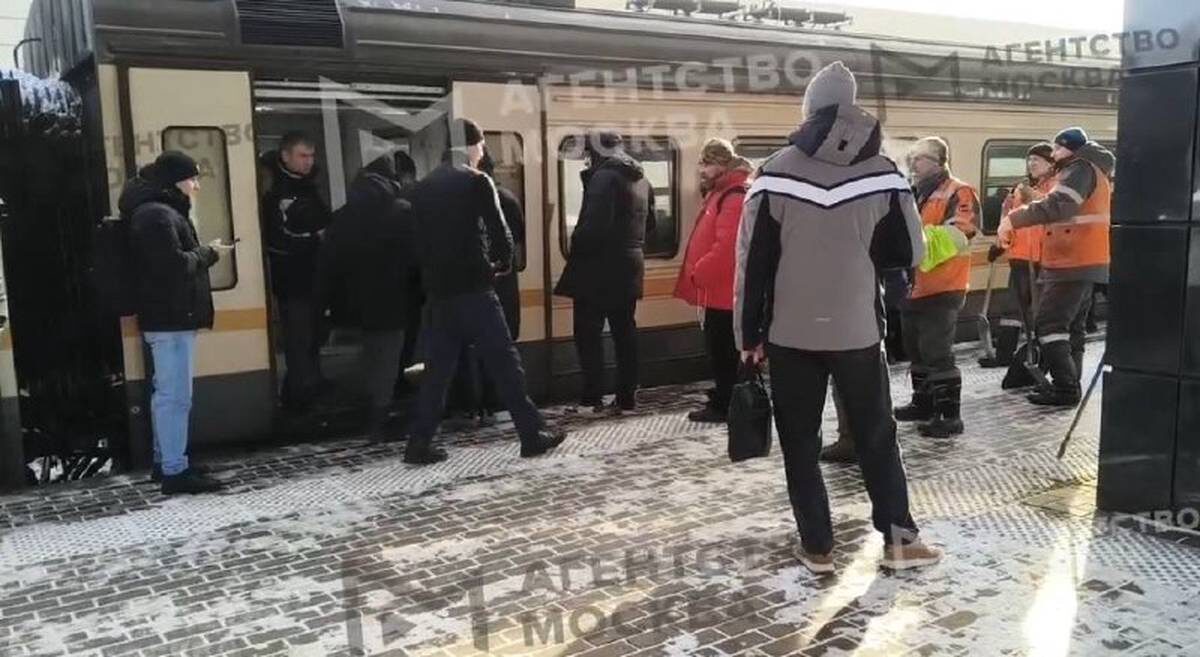    Фото: скриншот видео / АГН «Москва» / Telegram