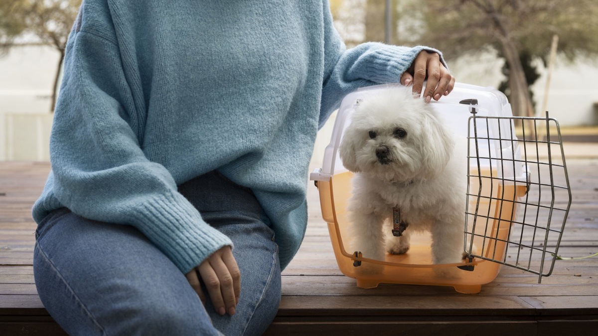    Соблюдение простых правил делает поездку с животным комфортной для всех