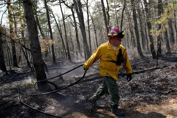    Фото: lenta.ru Полина Степанова