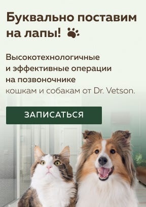 Создать карусель