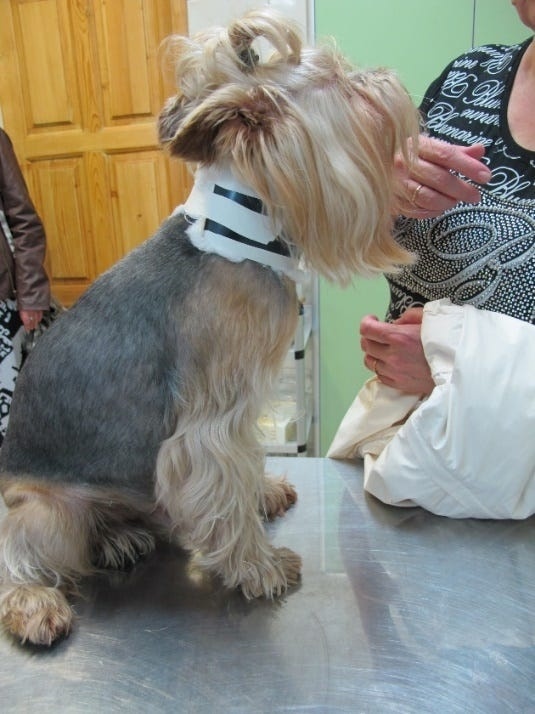 Создать карусель