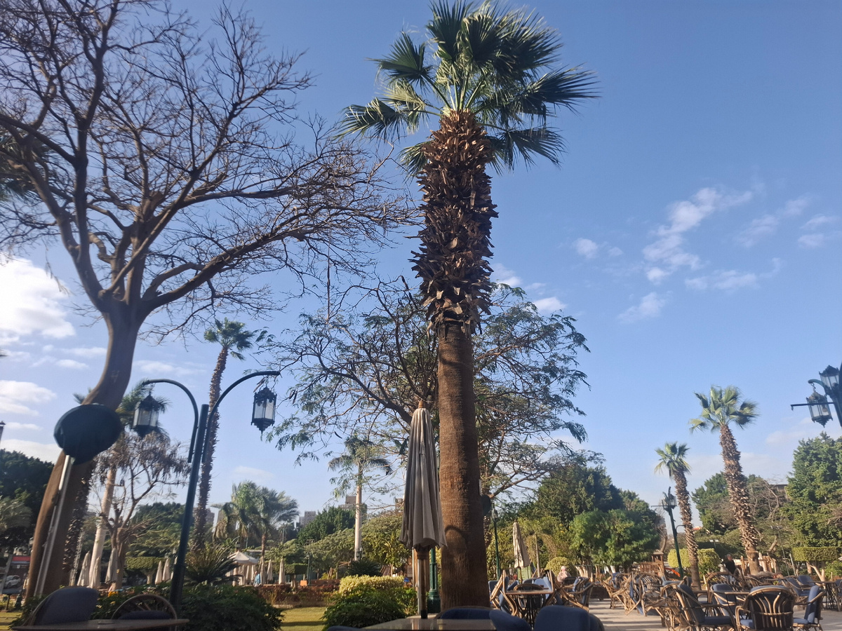 Наш клуб в Каире, Египет