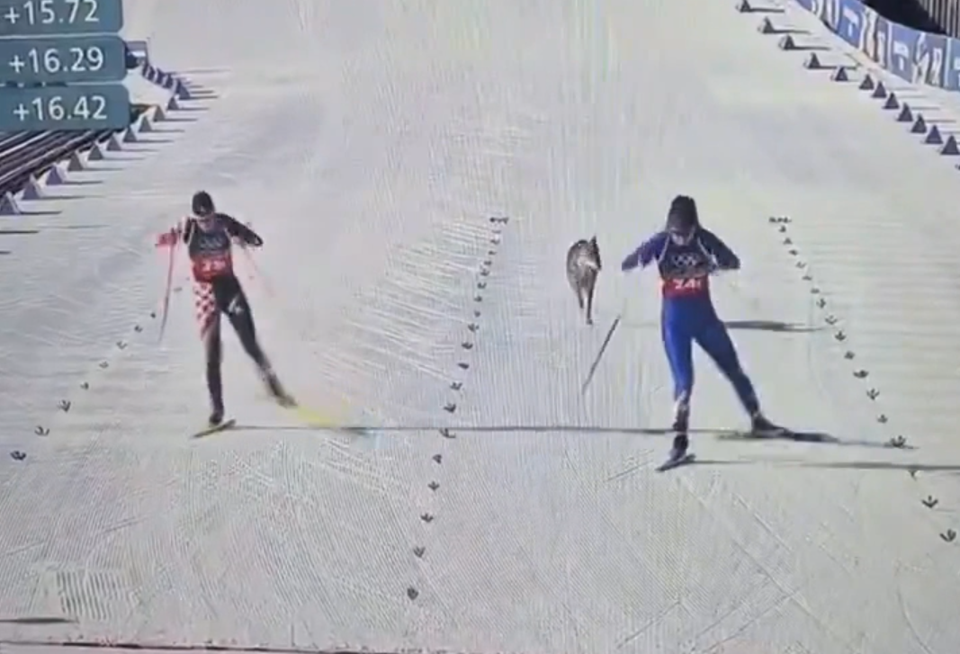     / Источник: Кадр из видео