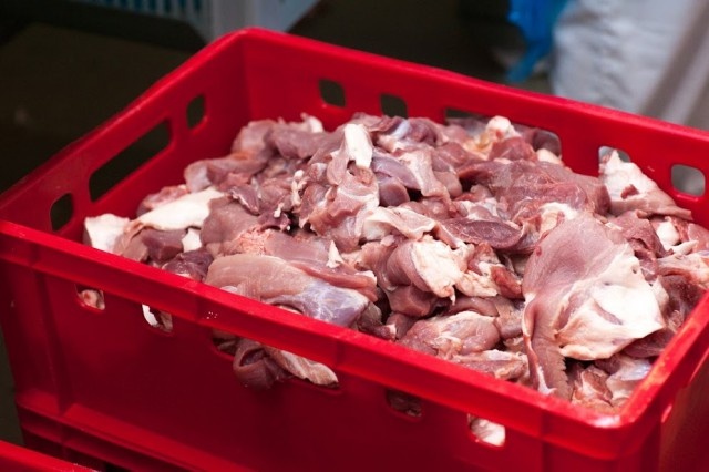   Фото из архива Калининград.Ru