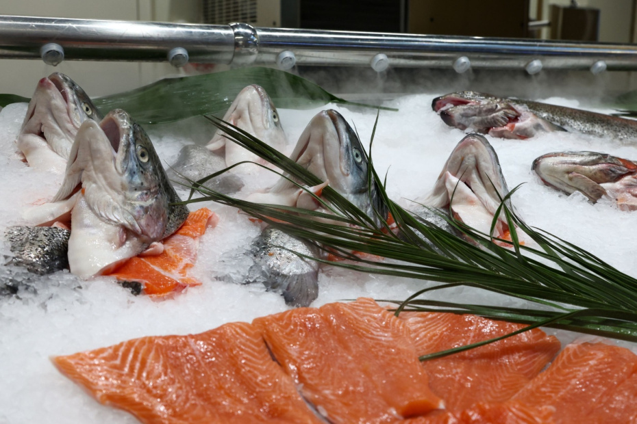    Наталья Шатохина/NEWS.ru