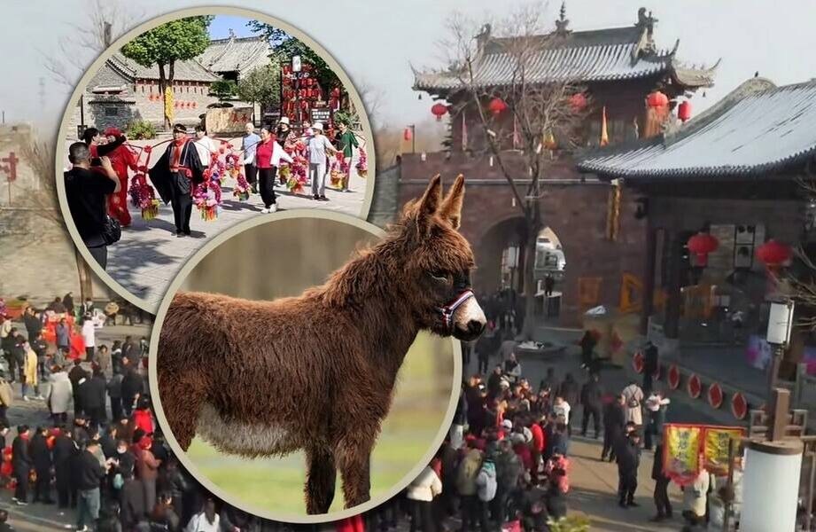    Фото: scmp.com
