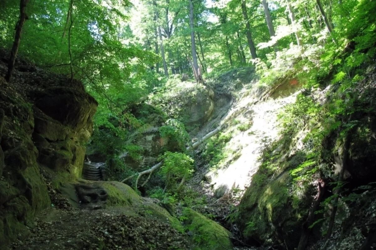    В гости к Колдуну и Пшадской деве.