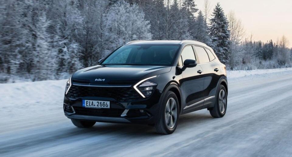    REGIONS/Сгенерировано нейросетью