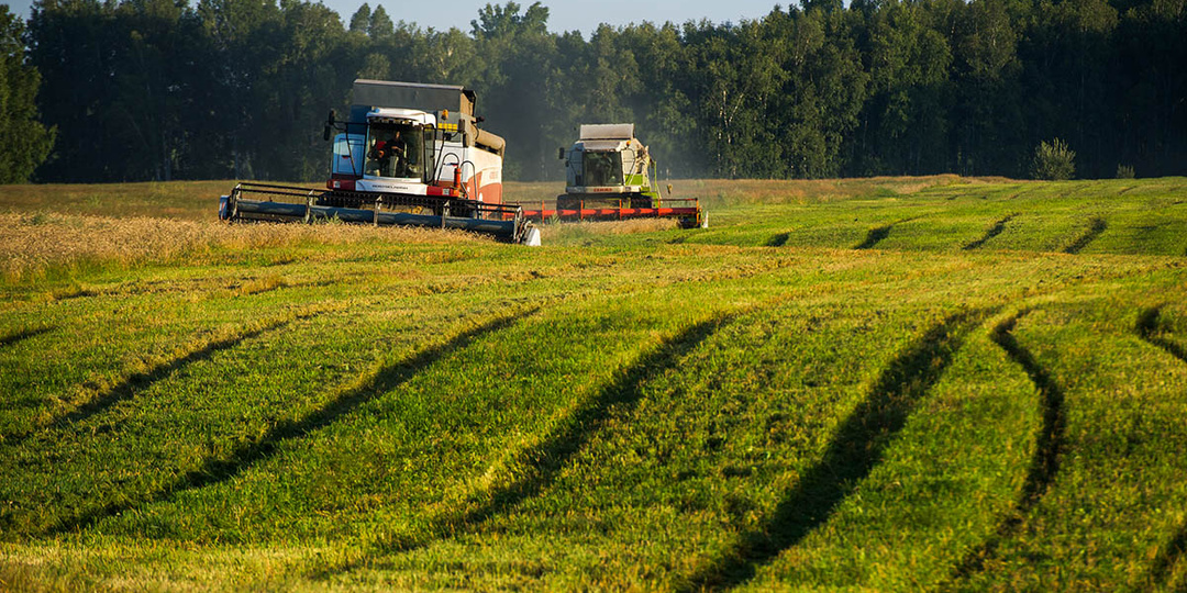 Угодья взяли под контроль