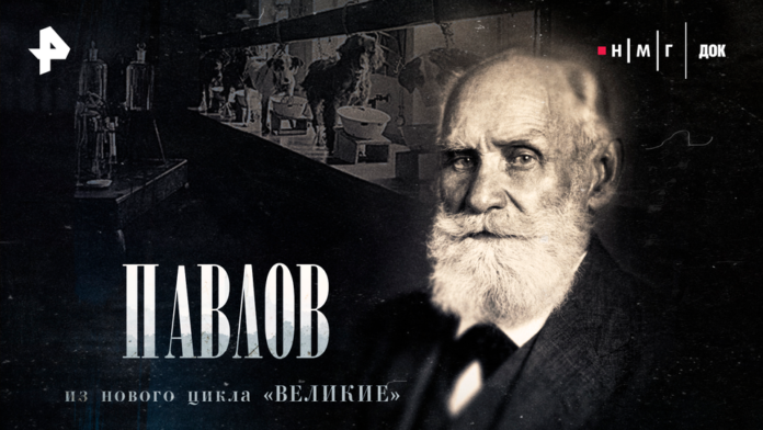    Концептуальное изображение: как древние психологические эксперименты вдохновляют будущие корпоративные стратегии 2030-х годов