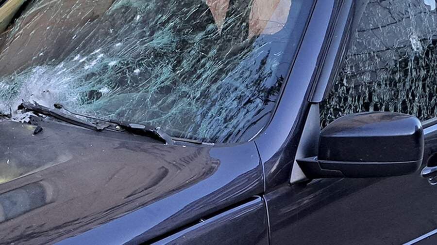    Фото: ИЗВЕСТИЯ