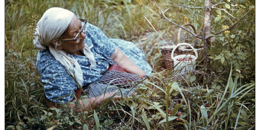 “ДНЕВНИК ПАМЯТИ”