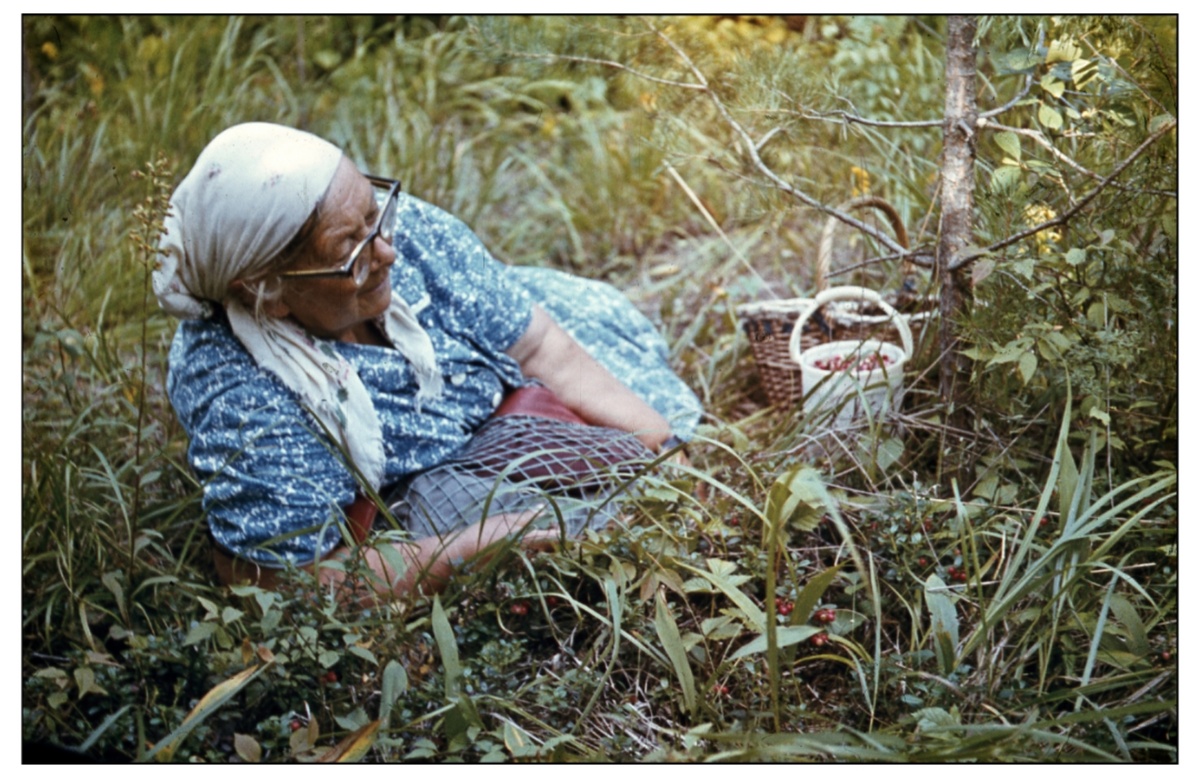 Моя бабушка - Евгения Ивановна Тихвинская, отдыхает после сбора грибов и ягод в своей любимой "Ильинке". ~1975-76 гг. Семейный архив.