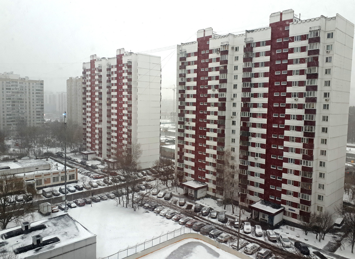 Зима в Новопеределкино