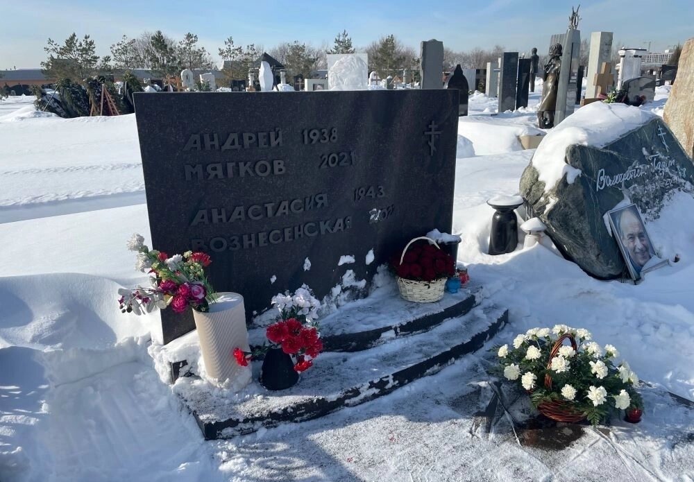    Фото: АиФ/ Кирилл Темкин