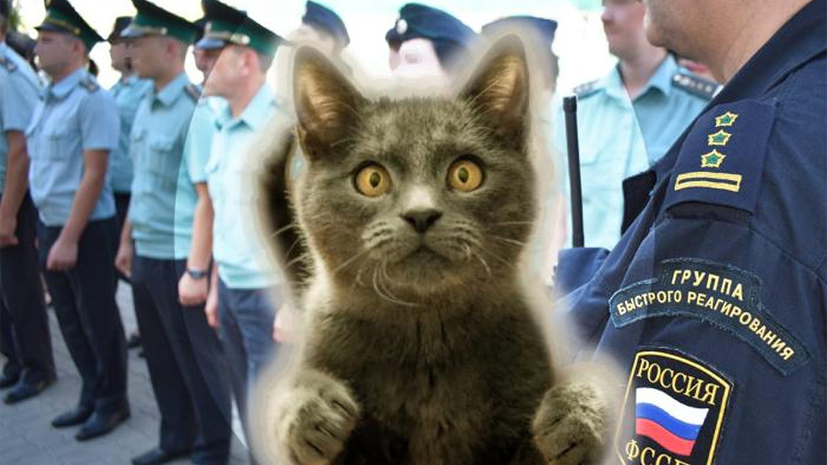 А как же домашние животные?