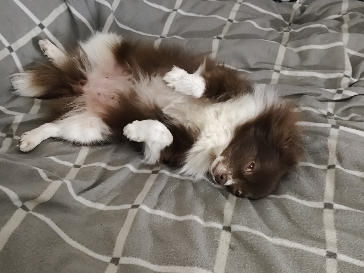 Мне тут места нет!