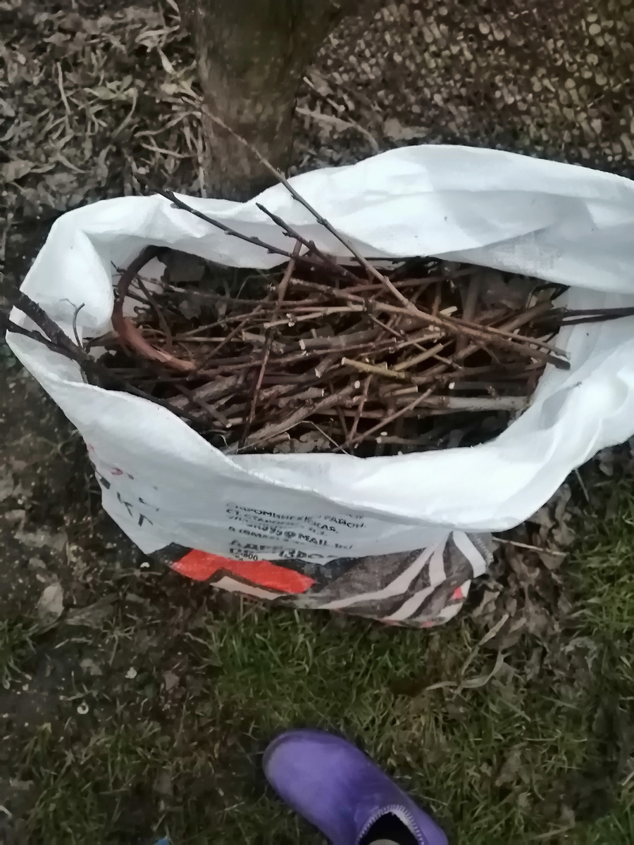 Моя работа.