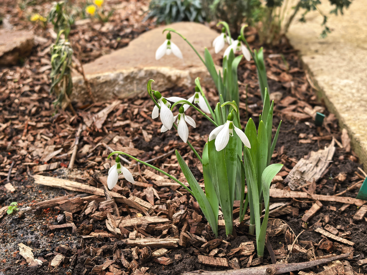 Листайте, 2 фото