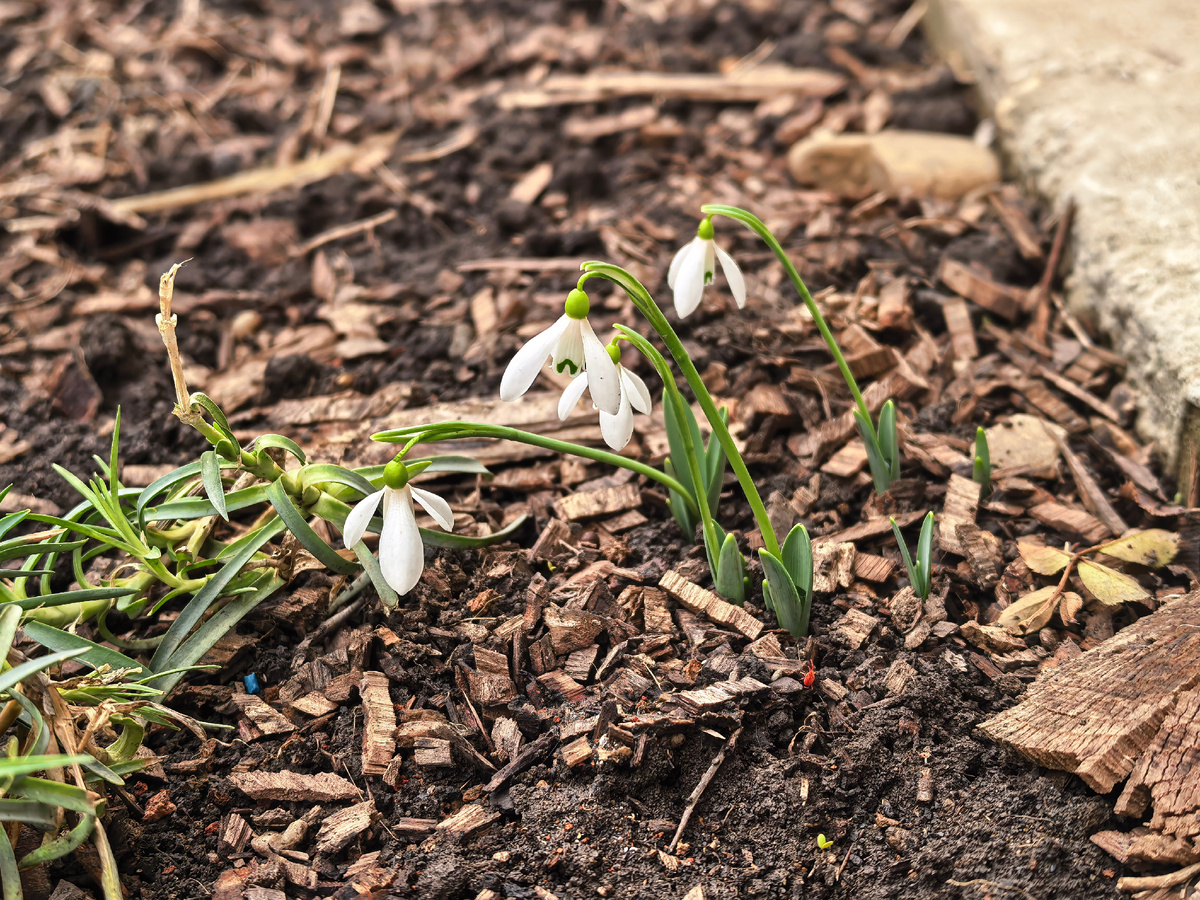 Эти в два раза меньше, но тоже милые