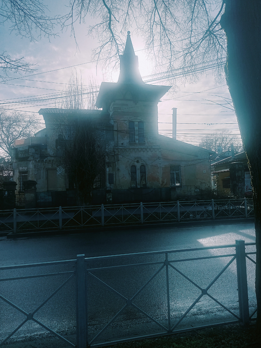 Фото автора.