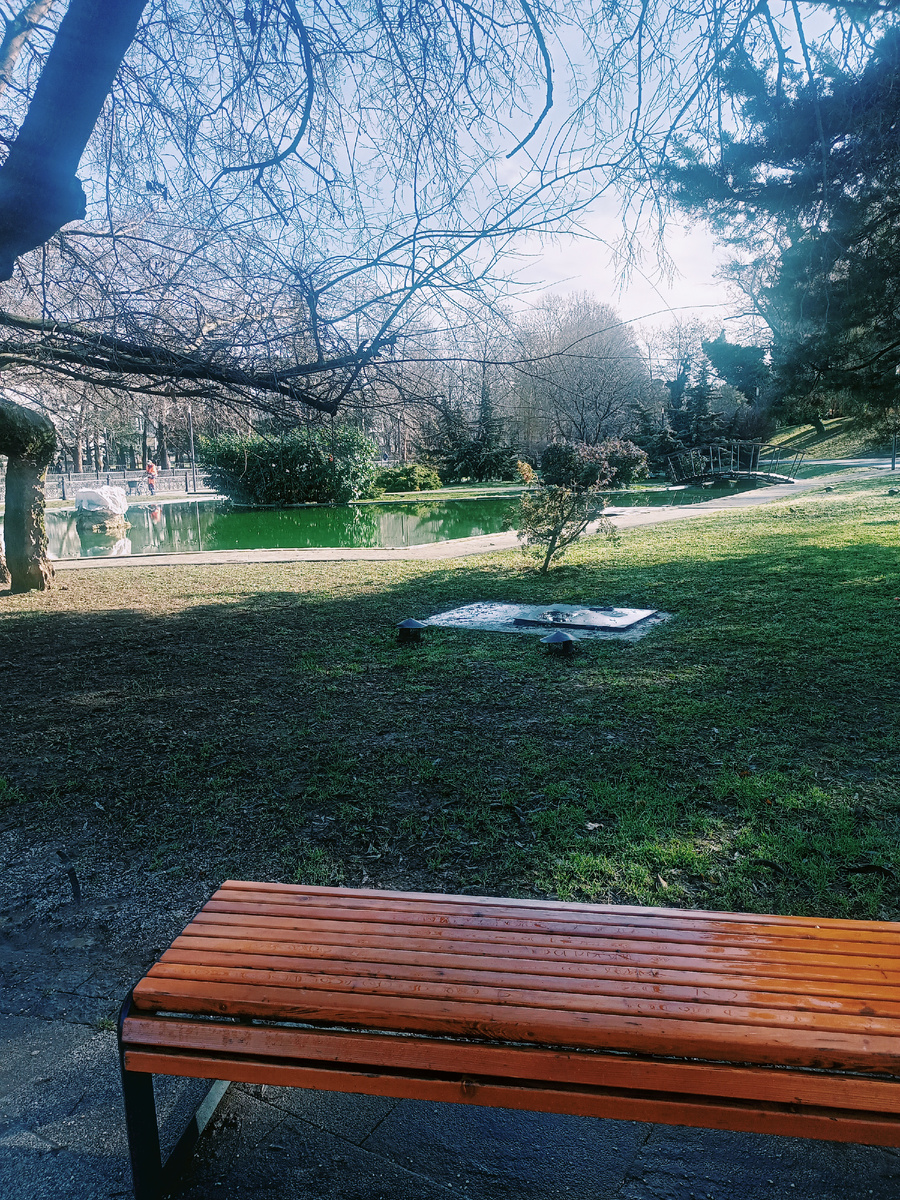 Фото автора.