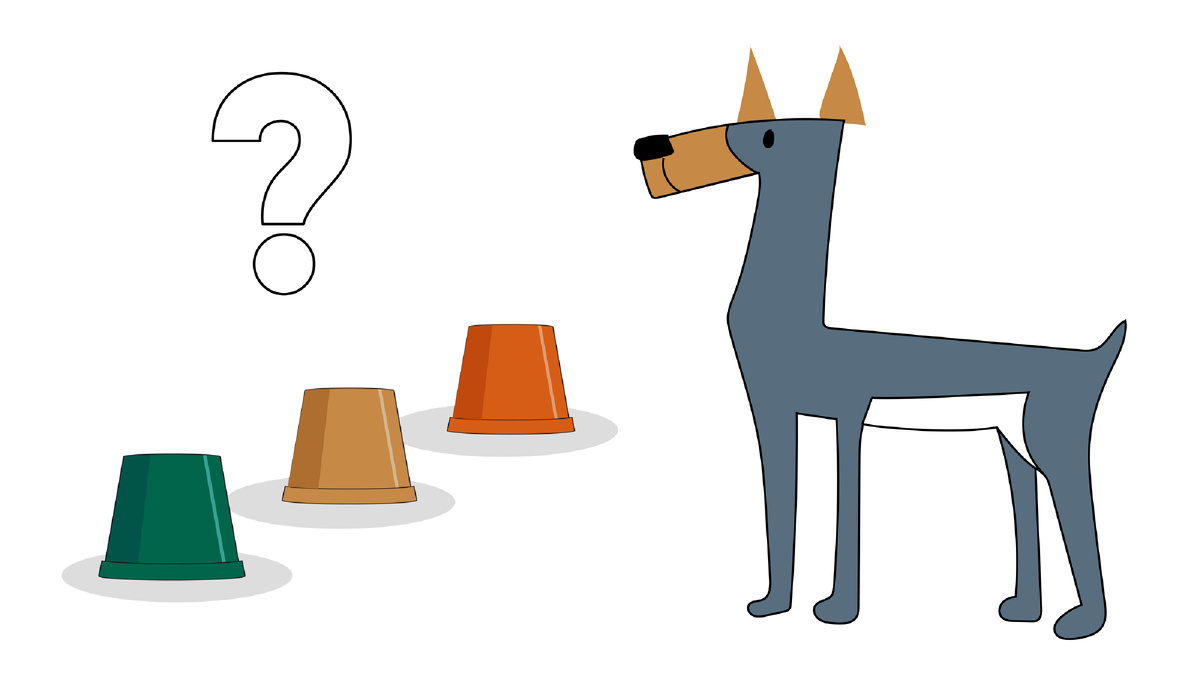 5 способов оценить интеллект собаки