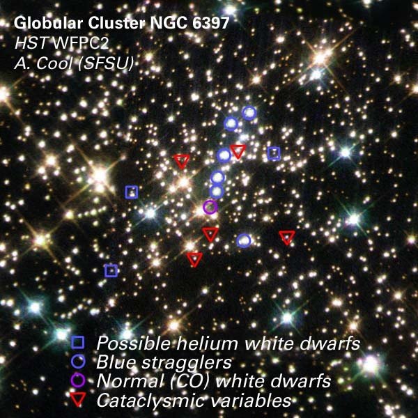    Популяция белых карликов в шаровом звёздном скоплении NGC 6397. Синие квадраты — гелиевые белые карлики, Фиолетовые кружки — «нормальные» белые карлики с высоким содержанием углерода.