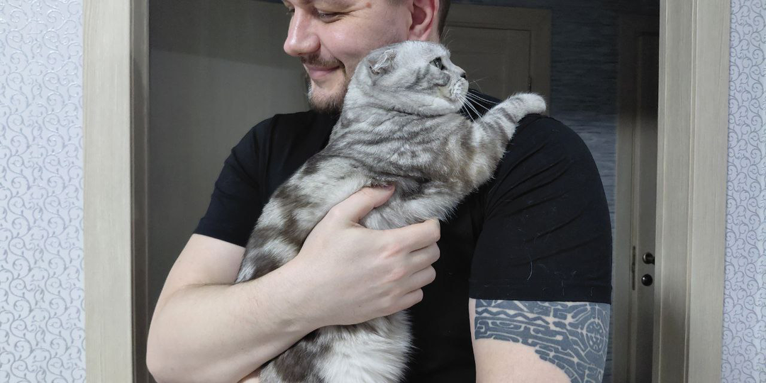 Как кошки встречают своих хозяев