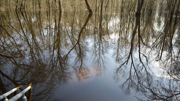    © Sputnik / Татьяна Федоренко